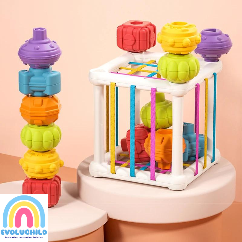 Cage de découverte sensorielle - Evoluchild - 14:200006152#Cylinder