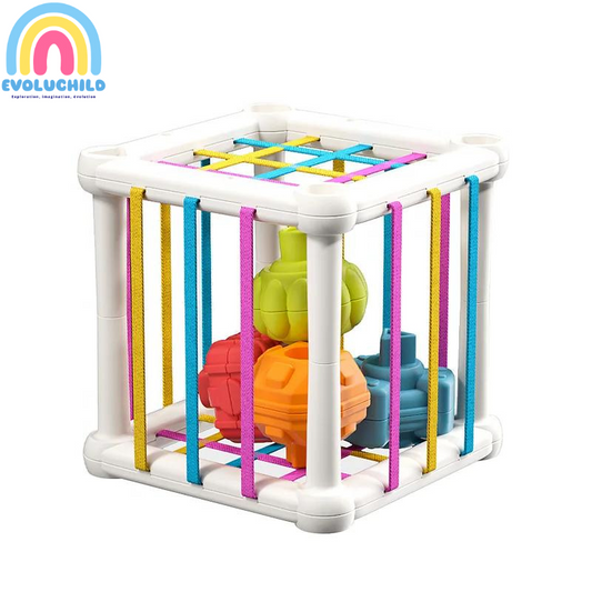Cage de découverte sensorielle - Evoluchild - 14:200006152#Cylinder