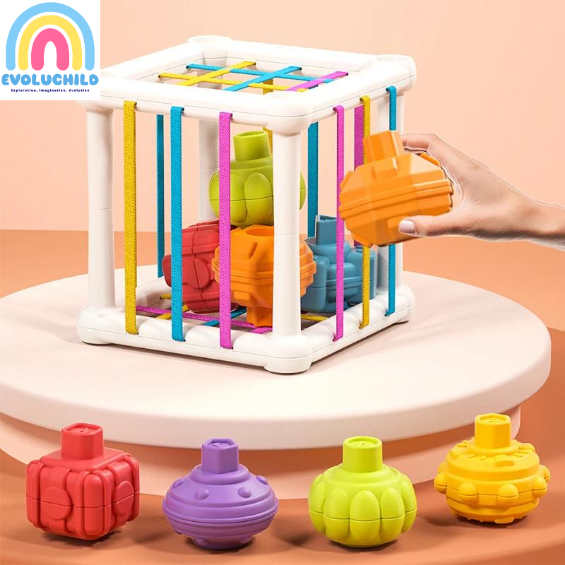 Cage de découverte sensorielle - Evoluchild - 14:200006152#Cylinder