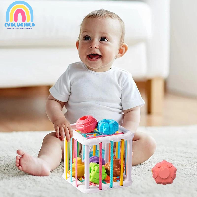 Cage de découverte sensorielle - Evoluchild - 14:200006152#Cylinder